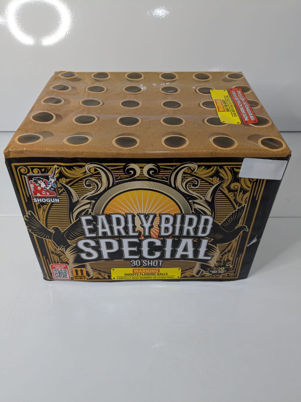 Early Bird Special
