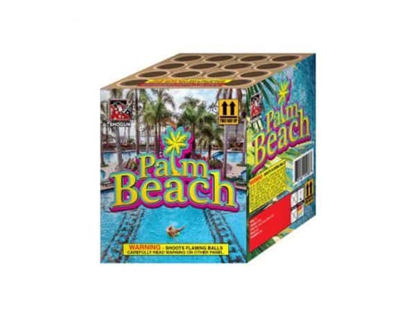 A Picture of Palm Beach SSM258