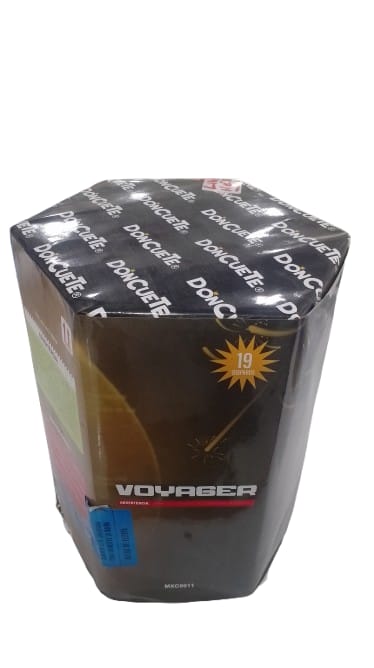 A Picture of Voyager