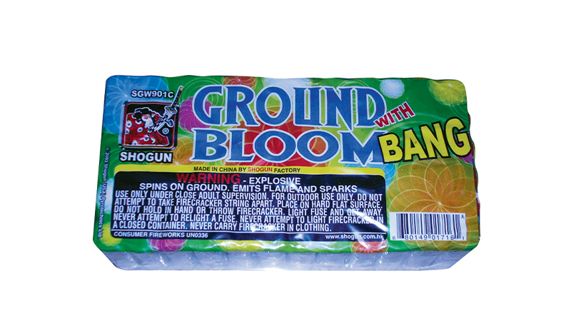 Ground Bloom Flower with Bang 